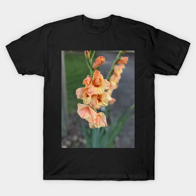 Stalk of Peach Flowers Photographic Image T-Shirt by AustaArt